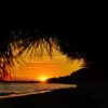 La Londe les maures - Agence Immobilière Happyssimmo La Londe -