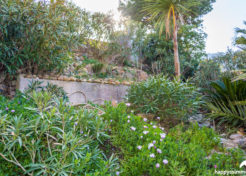 89-ext_jardin-dsc_7007