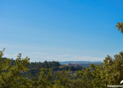 614-DSC_0402