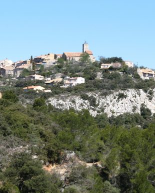 Agence immobilière à Saint Julien