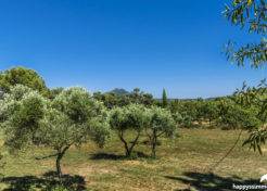 Vente maison villa avec jardin à Barjols 83670 - Villa à vendre à Barjols 83670 - Agence Immobilière Barjols Happyssimmo - Villa for sale in Provence - Maison avec jardin à vendre dans le var