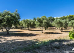 Vente maison villa avec jardin à Barjols 83670 - Villa à vendre à Barjols 83670 - Agence Immobilière Barjols Happyssimmo - Villa for sale in Provence - Maison avec jardin à vendre dans le var