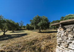 Vente maison villa avec jardin à Barjols 83670 - Villa à vendre à Barjols 83670 - Agence Immobilière Barjols Happyssimmo - Villa for sale in Provence - Maison avec jardin à vendre dans le var