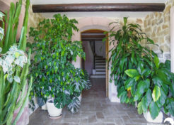 Vente maison bastide mas à Vitrolles en lubéron - Vaucluse - Agence Immobilière Vitrolles en Lubéron Happyssimmo - Villa for sale in Provence - Maison d'hote