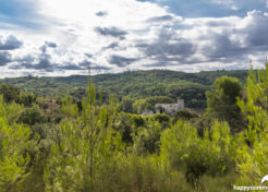 Vente terrain constructible à vendre Esparron de Verdon 04800 Agence Immobilière Esparron de Verdon 04800 - Happyssimmo Haut-Var Esparron de Verdon 04800 - Agences Immobilières Régusse