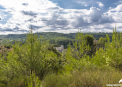 Vente terrain constructible à vendre Esparron de Verdon 04800 Agence Immobilière Esparron de Verdon 04800 - Happyssimmo Haut-Var Esparron de Verdon 04800 - Agences Immobilières Régusse