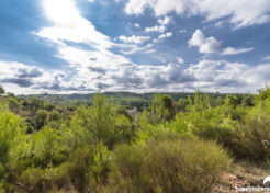 Vente terrain constructible à vendre Esparron de Verdon 04800 Agence Immobilière Esparron de Verdon 04800 - Happyssimmo Haut-Var Esparron de Verdon 04800 - Agences Immobilières Régusse