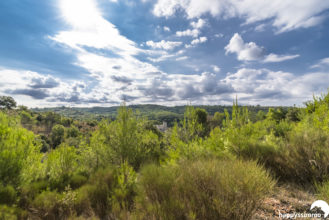 Vente terrain constructible à vendre Esparron de Verdon 04800 Agence Immobilière Esparron de Verdon 04800 - Happyssimmo Haut-Var Esparron de Verdon 04800 - Agences Immobilières Régusse