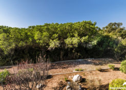 Vente Studio à Vendre à Mar Vivo - LeBonCoin - La Seyne Agence Immobilière La Seyne sur Mer - Happyssimmo La Seyne sur Mer - Estimation Studio La Seyne sur Mer
