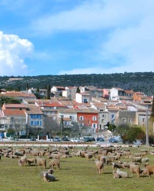 Happyssimmo - Saint-Anastasie sur Issole - Agence Immobilière - Vente Villa avec Jardin 01 83 - 83136