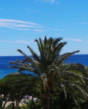 Agence Immobilière Happyssimmo Le Lavandou 83980 - Agence Immobilière Le Lavandou Transaction Vente Gestion Locative Location Estimation Immobilière