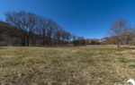 1277-02-DSC_0984
