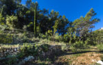 1452-05-HAP_0957