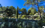 1452-06-HAP_0961