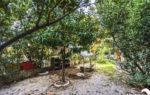 1474-23-HAP_1254