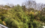 1547-05-HAP_1641